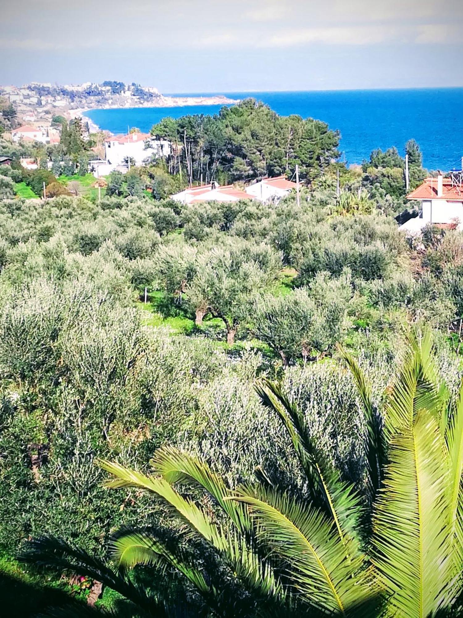 Koróni Villa Mariana מראה חיצוני תמונה