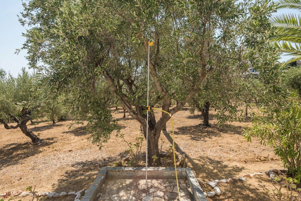 Koróni Villa Mariana מראה חיצוני תמונה